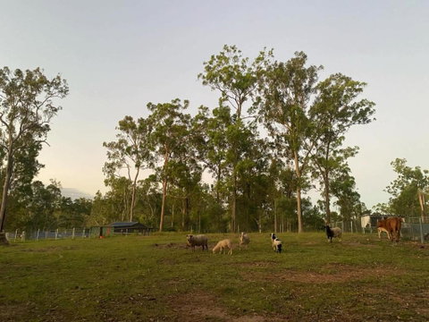 Gemmas Animal Farm By Tiny Away - Tourism Adelaide 1