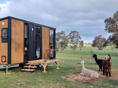 Grampians Views Moyston By Tiny Away - Tourism Adelaide 0