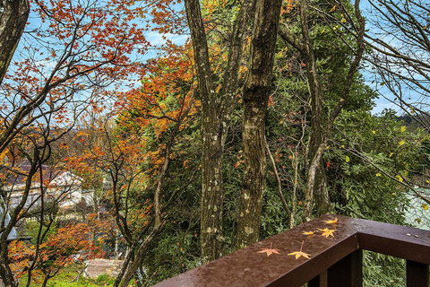 Allambee - Tourism Adelaide 2