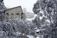 Alpine View Apartments
