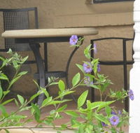 Amalie Cottage Waikerie - Tourism Adelaide