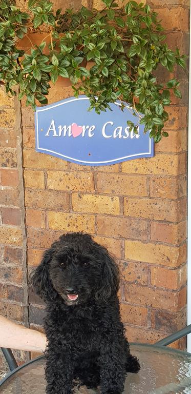 Amore Casa Tenterfield - Tourism Adelaide 2