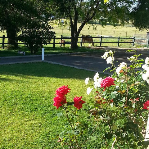 Appin Homestay B & B - Tourism Adelaide 3