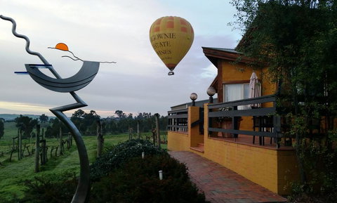 Art At Linden Gate - Tourism Adelaide 1