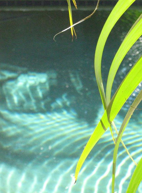 Artizen - Tourism Adelaide 3