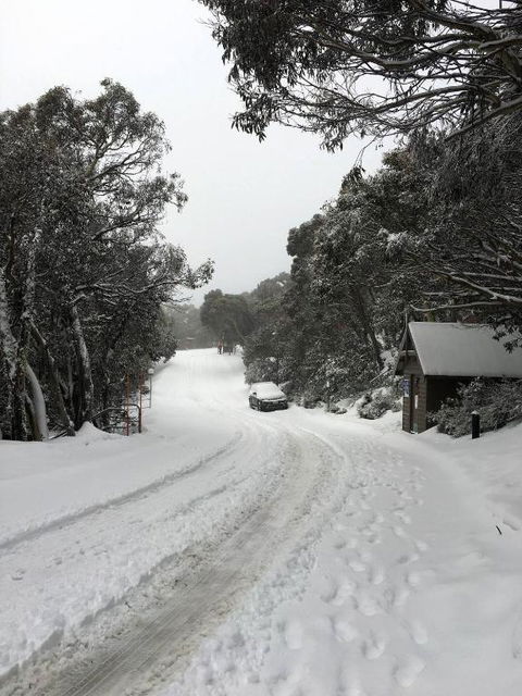 MAGNIFICENT SKIING ON MOUNT BULLER - Tourism Adelaide 3