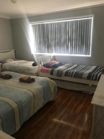 Mystic Blue And Green Meadow - Tourism Adelaide 3