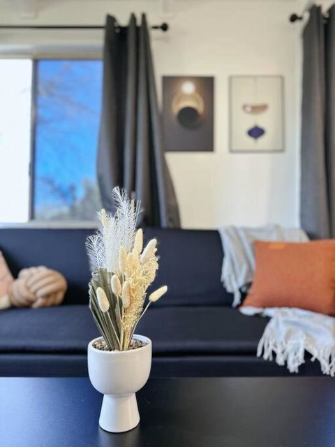 Popular Central Location King Bed The Repose - Tourism Adelaide 2