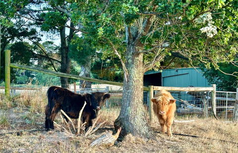 Private, Secluded Farm Retreat - Tourism Adelaide 3