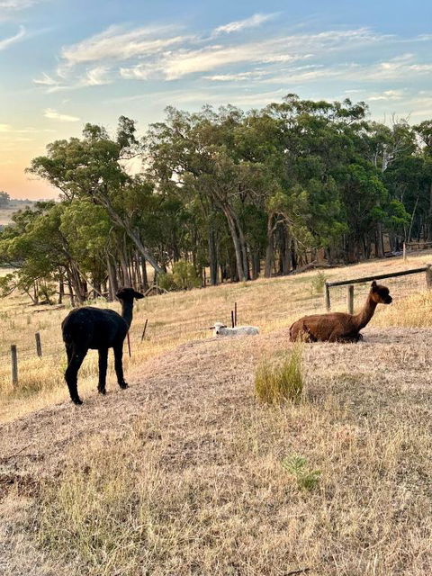 Private, Secluded Farm Retreat - Tourism Adelaide 2