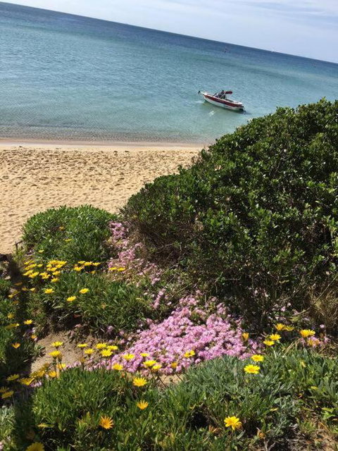 Quiet, Luxurious Guest House - Couples Retreat - Tourism Adelaide 1