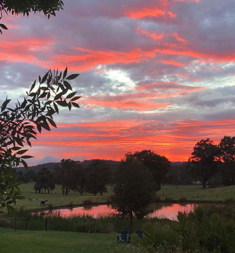 Raynella Alpaca Farmstay - Tourism Adelaide 2