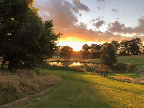 Raynella Alpaca Farmstay - Tourism Adelaide 1