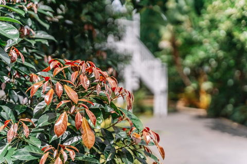 Balmoral Queenslander - Tourism Adelaide 2