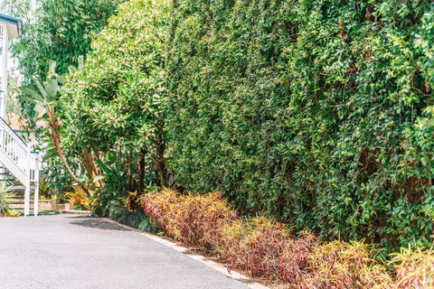 Balmoral Queenslander - Tourism Adelaide 3