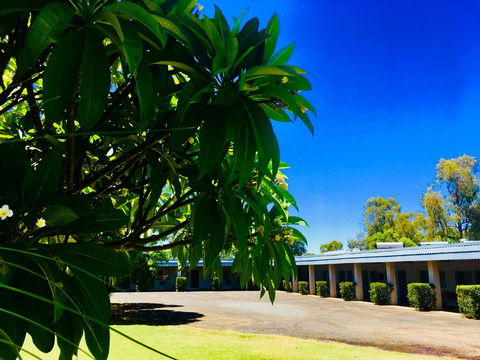 Balonne River Motor Inn - Tourism Adelaide 0