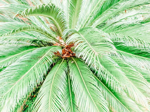 Bay & Basin - Tourism Adelaide 3