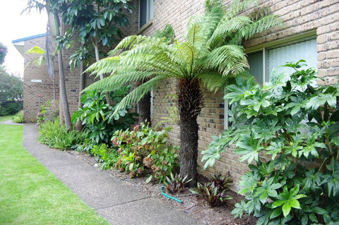 Beachfront Apartments - Tourism Adelaide 0