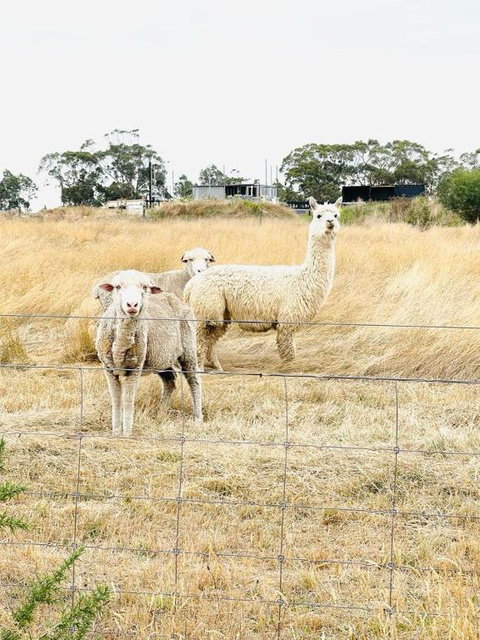 Ross Creek Farm Stay - Tourism Adelaide 0