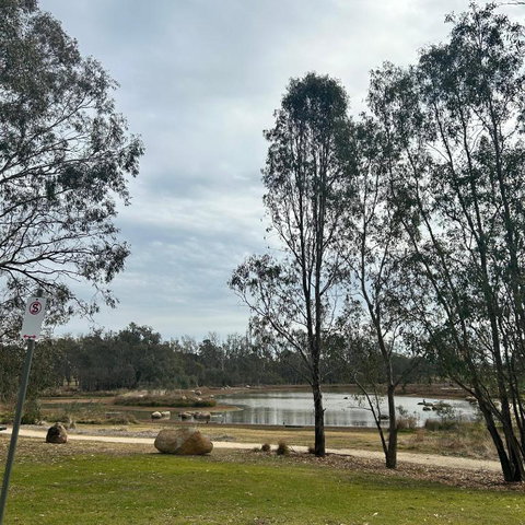 Rutherglen Holiday Park - Tourism Adelaide 0