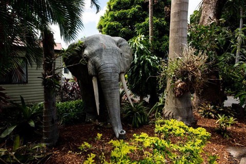 Sarina Palms Caravan And Cabins Village - Tourism Adelaide 3