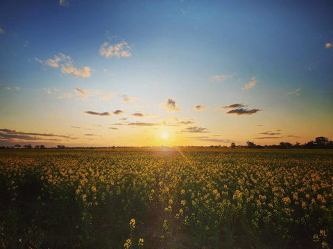 The Court House Hotel Narromine - Tourism Adelaide 3