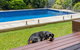The Doggy Beach House At Pottsville - thumb 2