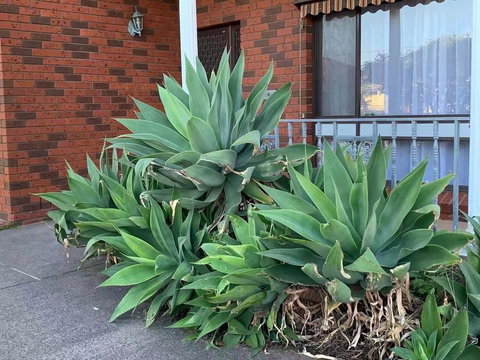 Beautiful Bedroom In Bentleigh East - Tourism Adelaide 0