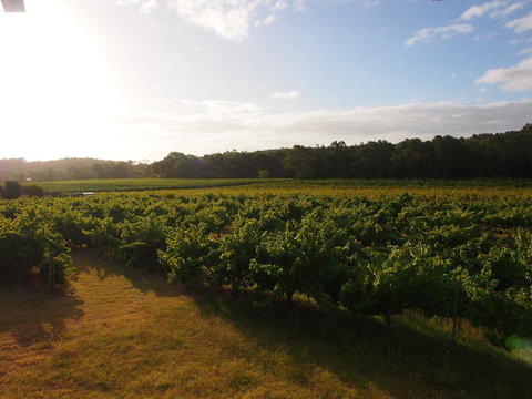 Bed & Breakfast At Tiffany's - Tourism Adelaide 1