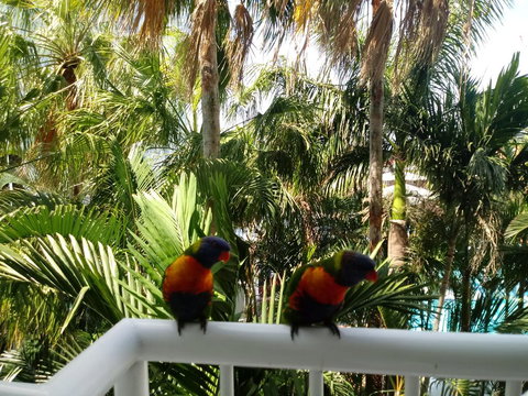 Bel Air Private Condominium - Tourism Adelaide 2