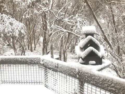 Belltrees - Tourism Adelaide 1