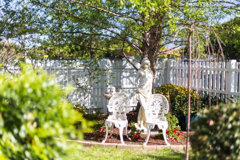 BIRCHES B&B - Tourism Adelaide 2