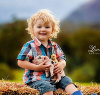 Blackwattle Farm - Tourism Adelaide