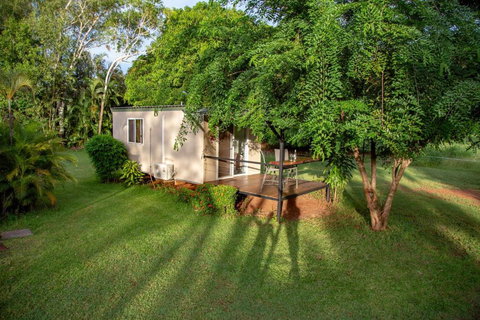 Banyan Tree - Tourism Adelaide 0