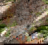 3-Day Kakadu 4WD Camping Safari from Darwin - Tourism Adelaide