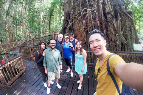 Cairns 4WD Waterfall And Rainforest Tour Including Kuranda Scenic Railway - Tourism Adelaide 0