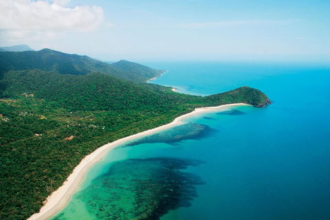 Cape Tribulation, Mossman Gorge, And Daintree Rainforest Premium Day Tour - Tourism Adelaide 2