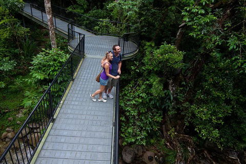 Cape Tribulation, Mossman Gorge, And Daintree Rainforest Premium Day Tour - Tourism Adelaide 3