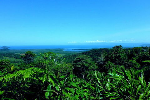 Cape Tribulation, Mossman Gorge, And Daintree Rainforest Premium Day Tour - Tourism Adelaide 5