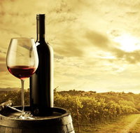 McLaren Vale Luxury Wine Tour - Tourism Adelaide