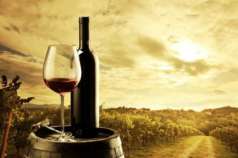 McLaren Vale Luxury Wine Tour - Tourism Adelaide 0