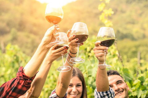 McLaren Vale Luxury Wine Tour - Tourism Adelaide 2