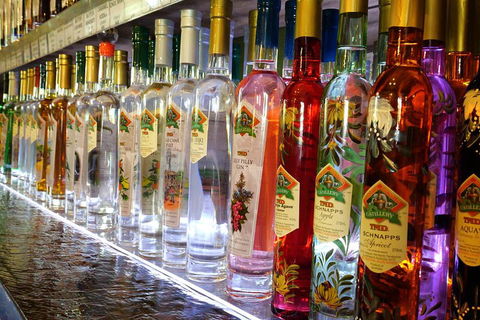 Bar & Brewery Tour - Tourism Adelaide 4