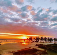 1 Hour Broome Sunset Camel Tour - Tourism Adelaide