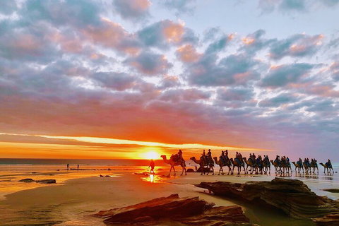 1 Hour Broome Sunset Camel Tour - Tourism Adelaide 0