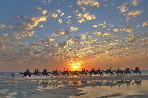 1 Hour Broome Sunset Camel Tour - Tourism Adelaide 1