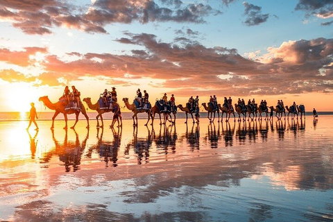 1 Hour Broome Sunset Camel Tour - Tourism Adelaide 2