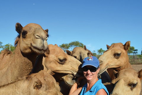 1 Hour Broome Sunset Camel Tour - Tourism Adelaide 3
