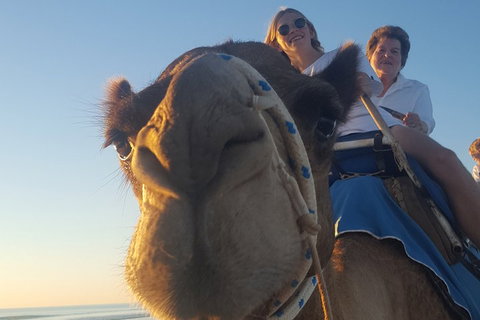 1 Hour Broome Sunset Camel Tour - Tourism Adelaide 4