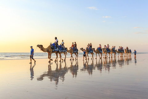 1 Hour Broome Sunset Camel Tour - Tourism Adelaide 5